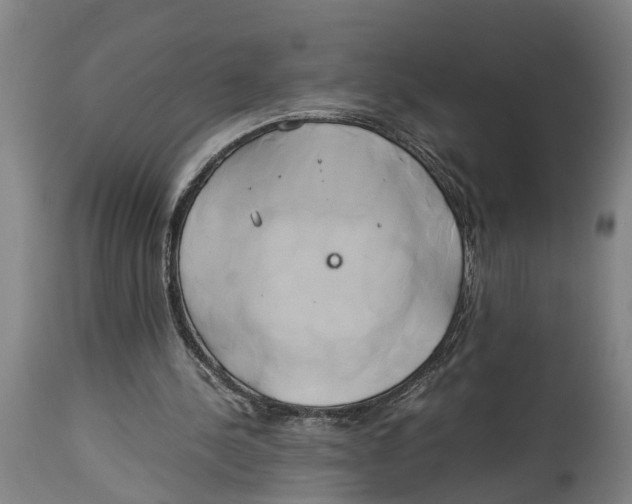 X0000114150244200911051448