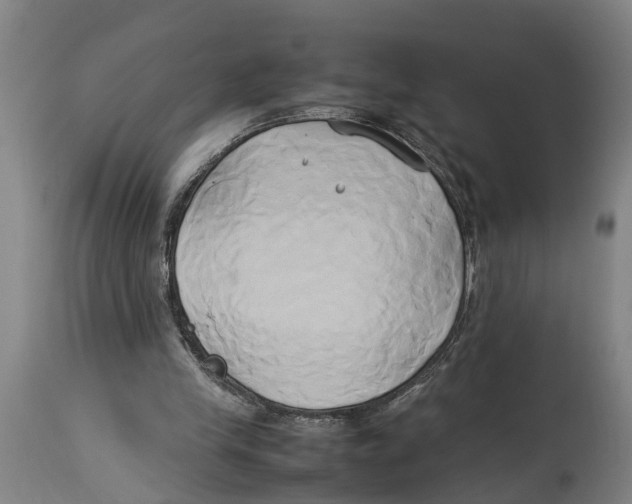 X0000114150245200911051448
