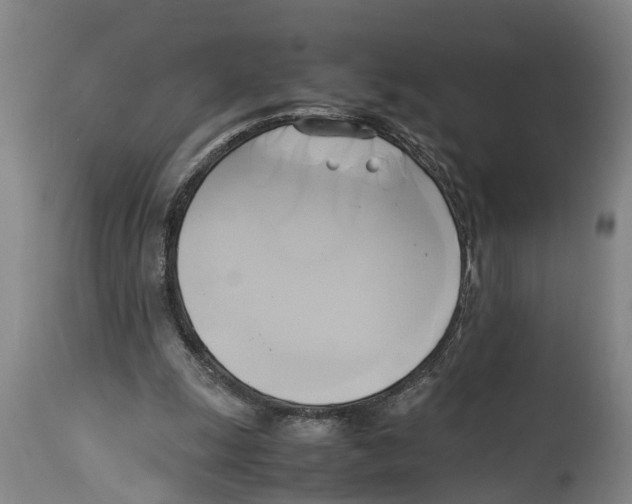 X0000114150247200911051448