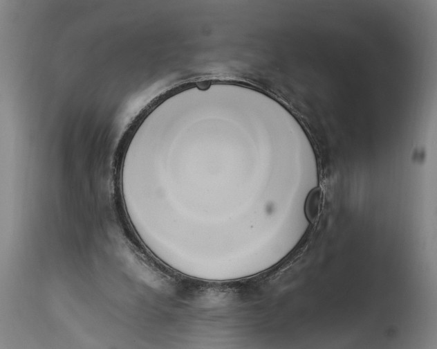 X0000114150248200911051448