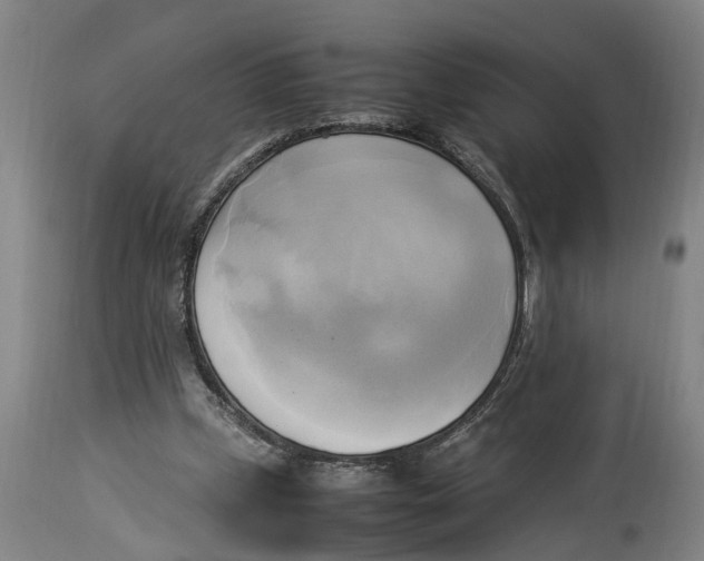 X0000114150249200911051448
