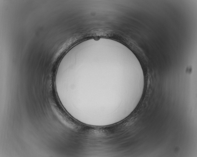 X0000114150250200911051448