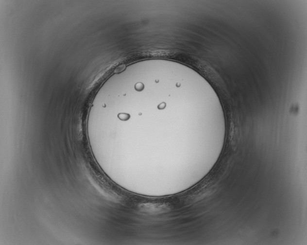 X0000114150251200911051448