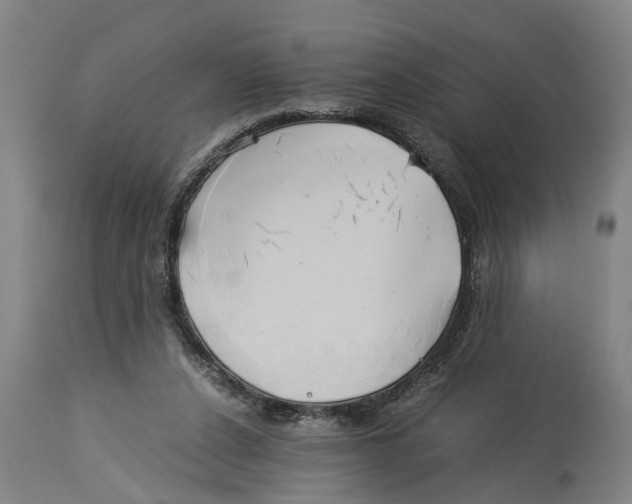 X0000114150256200911051449
