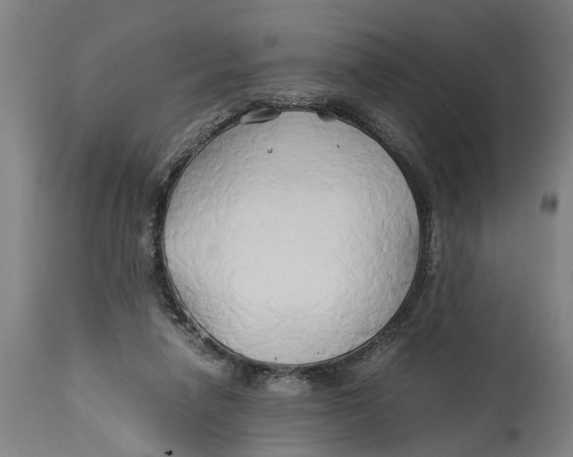 X0000114150258200911051449
