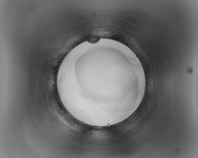 X0000114150259200911051449