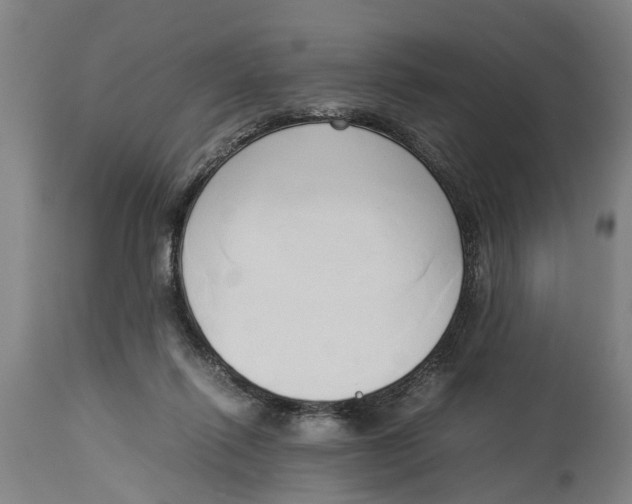 X0000114150262200911051449