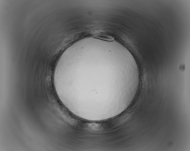 X0000114150265200911051449