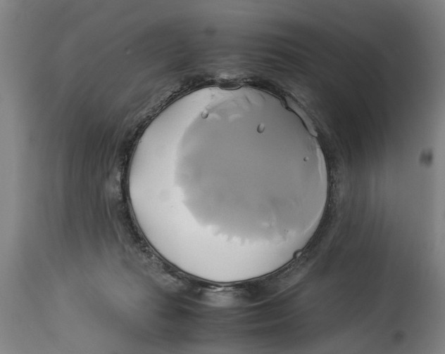 X0000114150269200911051449
