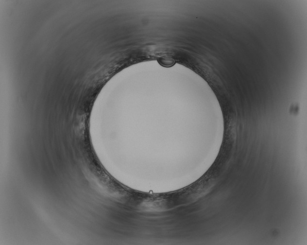 X0000114150271200911051449