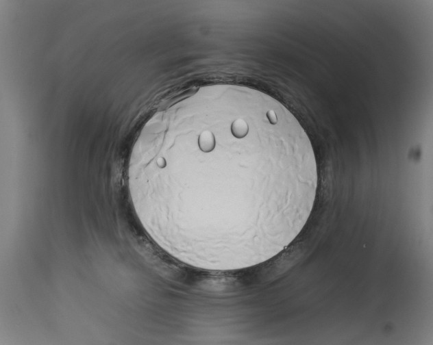 X0000114150278200911051449