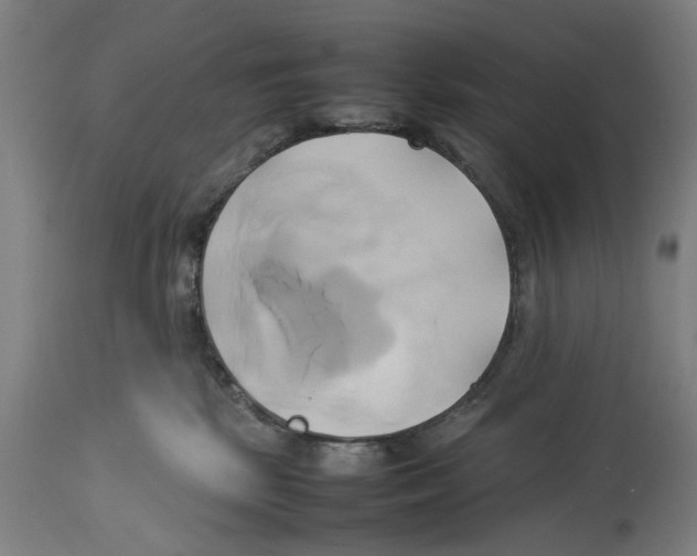 X0000114150281200911051449