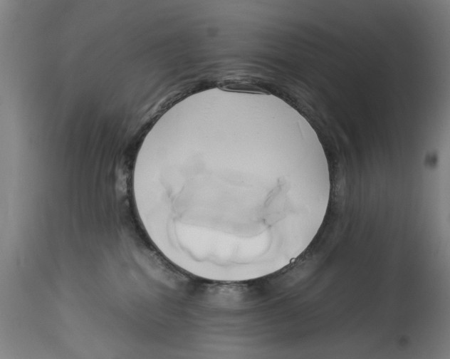 X0000114150282200911051449