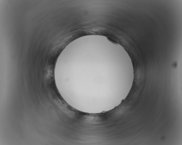 X0000114150284200911051449