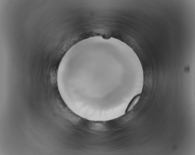 X0000114150285200911051449