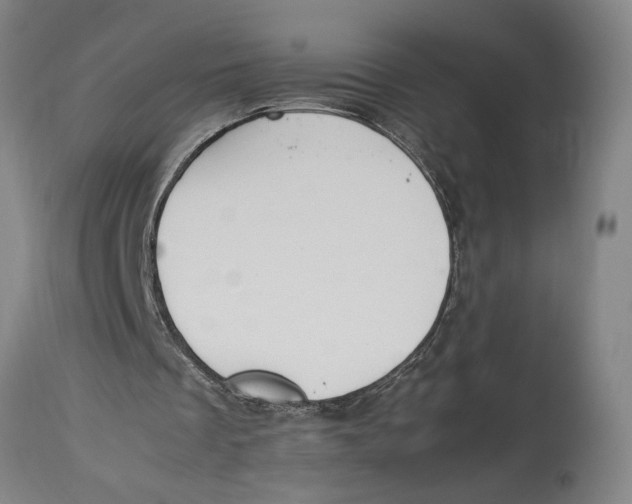 X0000114150289200911051448