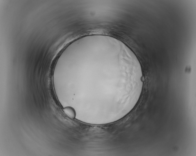 X0000114150290200911051448