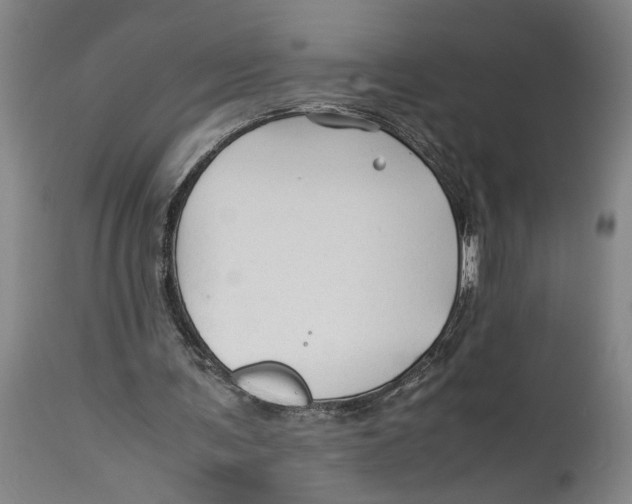 X0000114150291200911051448