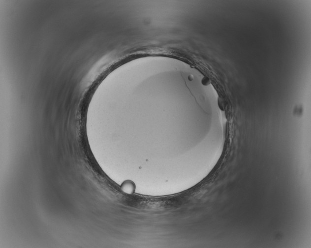 X0000114150295200911051448
