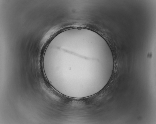X0000114150296200911051448