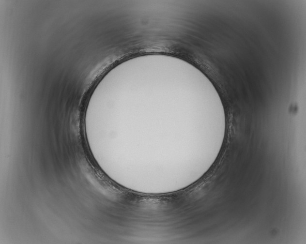 X0000114150298200911051448
