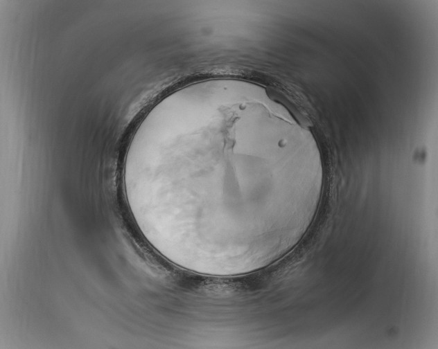 X0000114150299200911051448