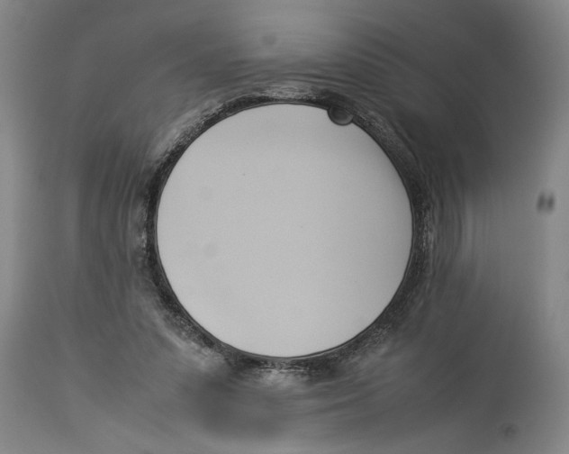 X0000114150303200911051448