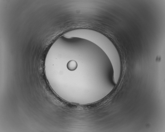 X0000114150305200911051448