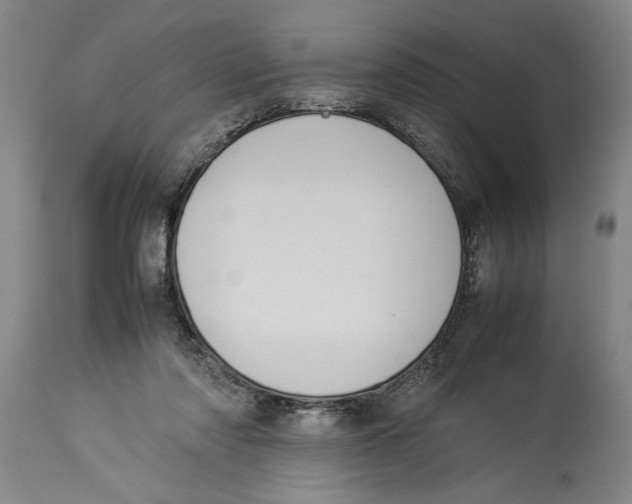 X0000114150310200911051448