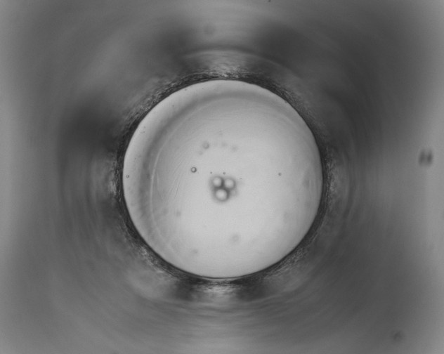X0000114150313200911051448
