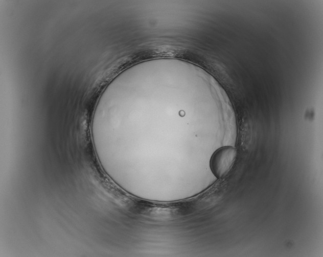 X0000114150314200911051448