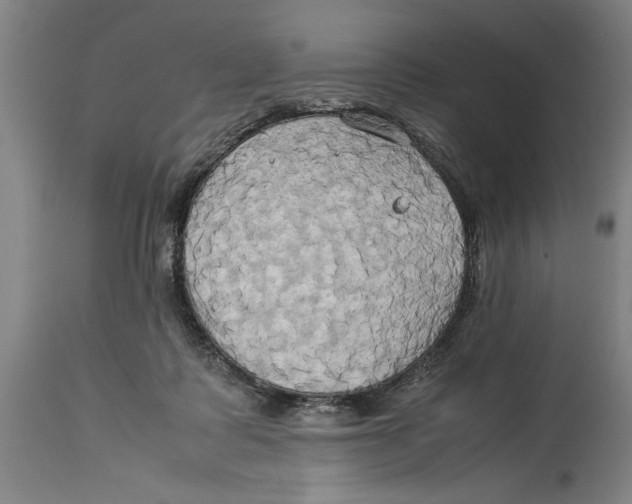 X0000114150315200911051448