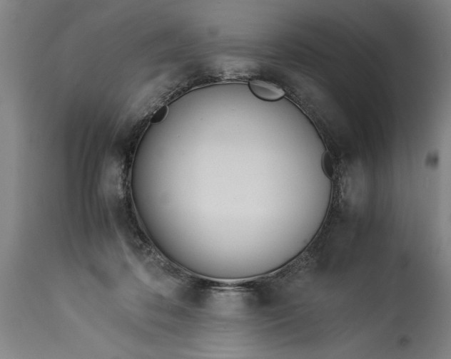 X0000114150316200911051448