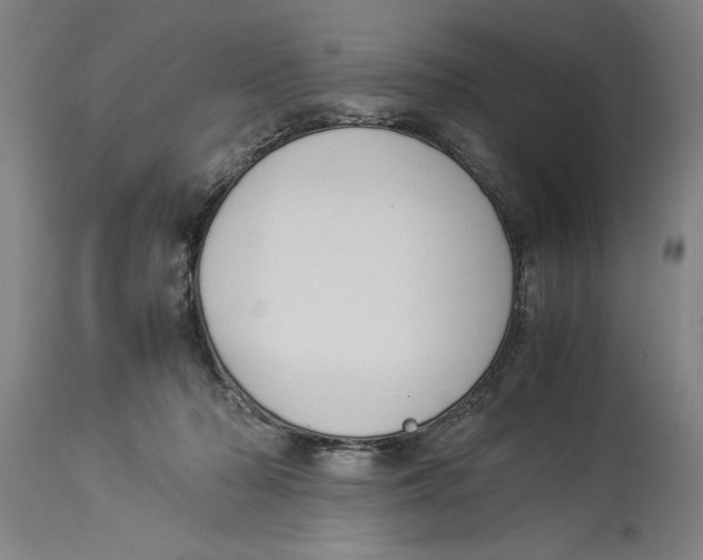 X0000114150318200911051448