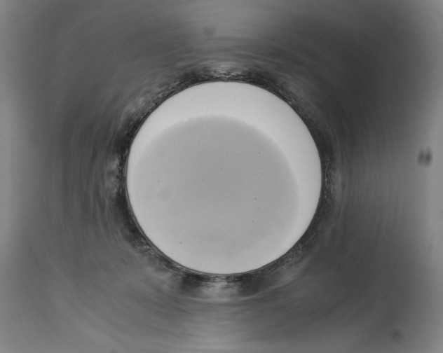 X0000114150319200911051448