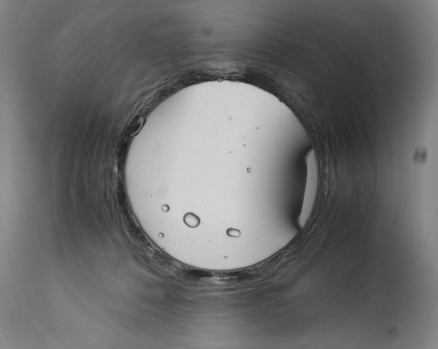 X0000114150320200911051448