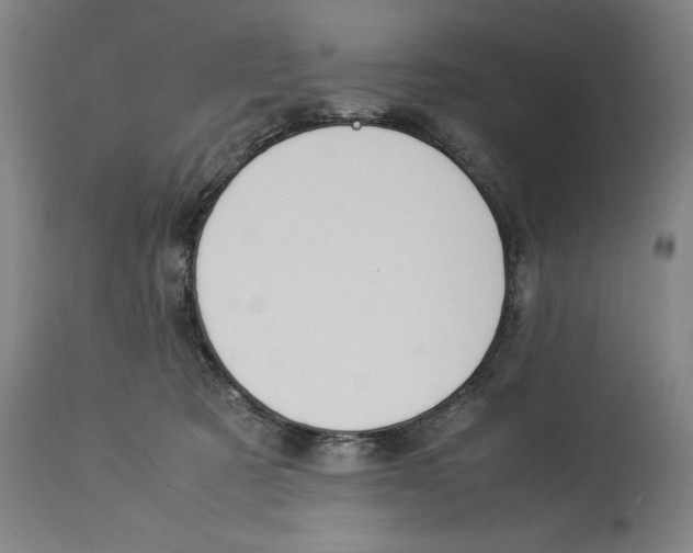 X0000114150321200911051448