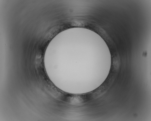 X0000114150322200911051448