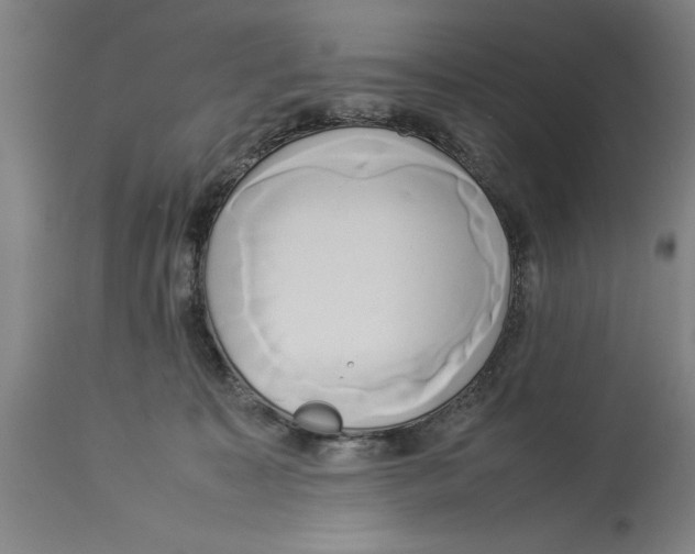 X0000114150323200911051448