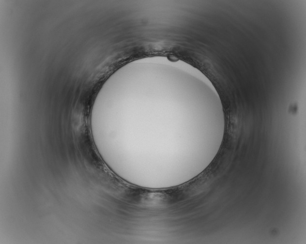 X0000114150324200911051448
