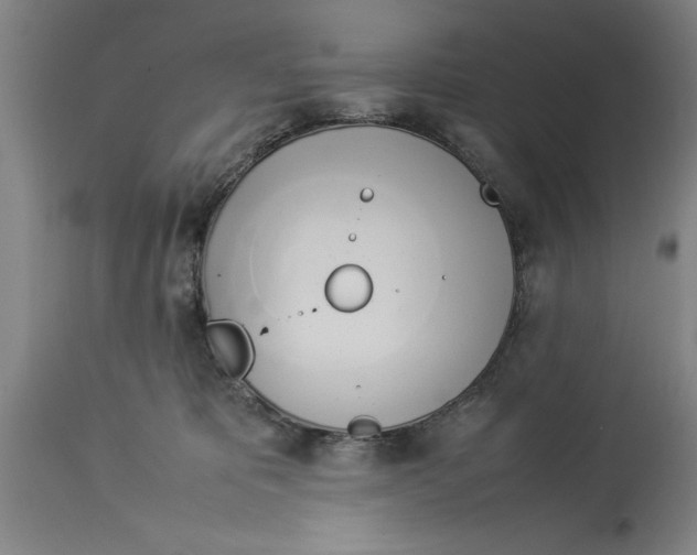 X0000114150325200911051448