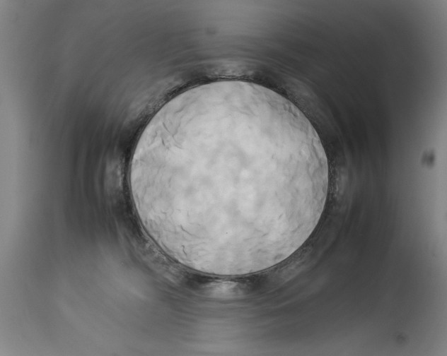 X0000114150326200911051448