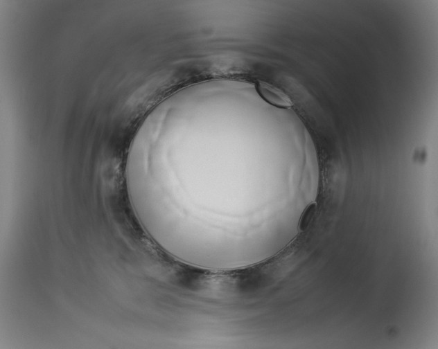 X0000114150327200911051448