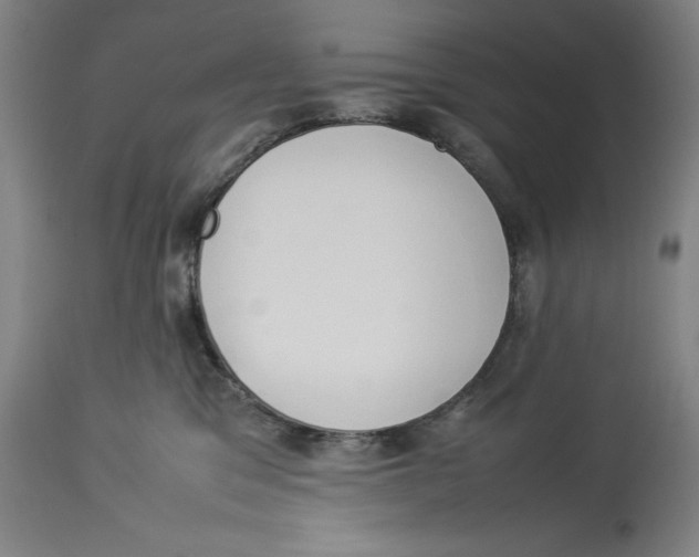 X0000114150329200911051448