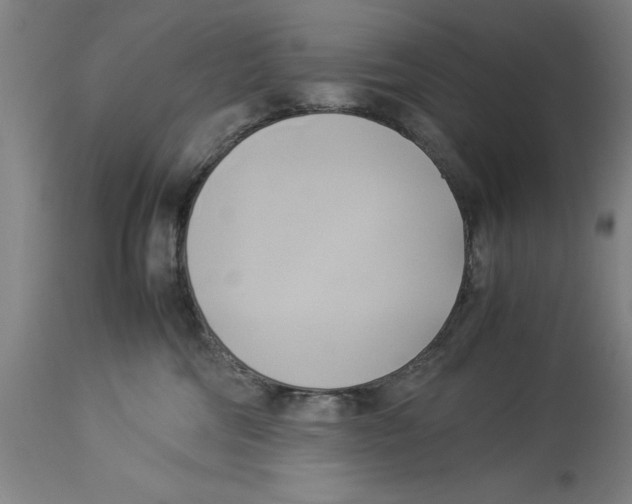 X0000114150330200911051448