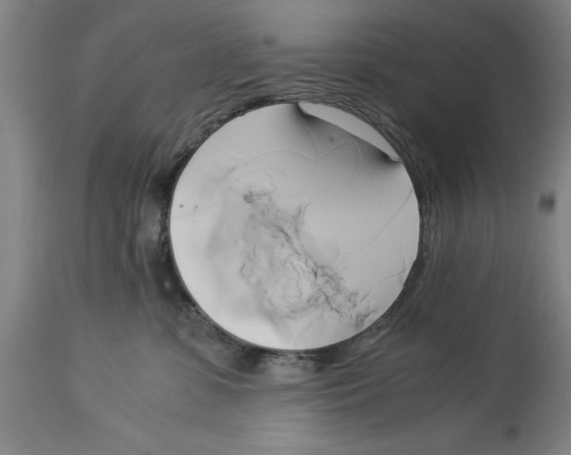 X0000114150331200911051448