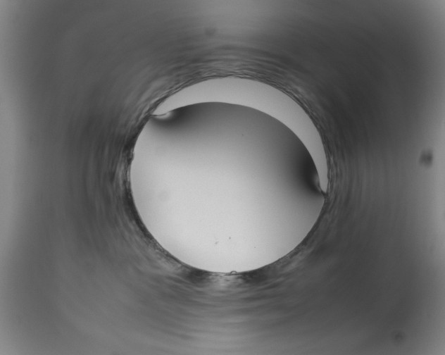 X0000114150333200911051448
