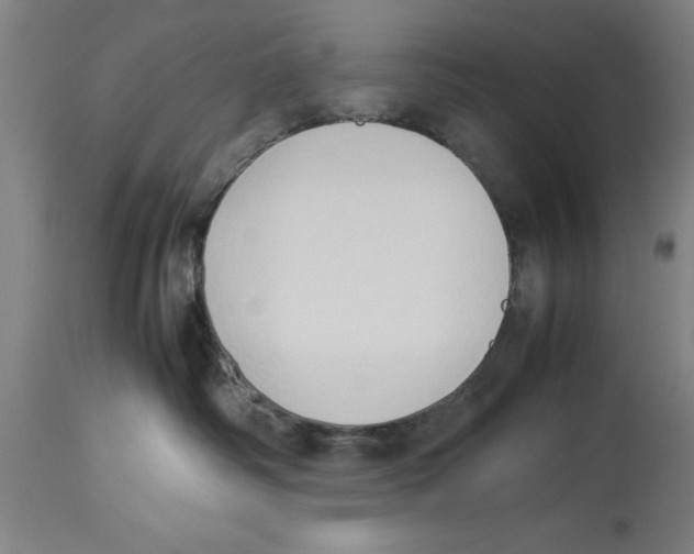 X0000114150334200911051448