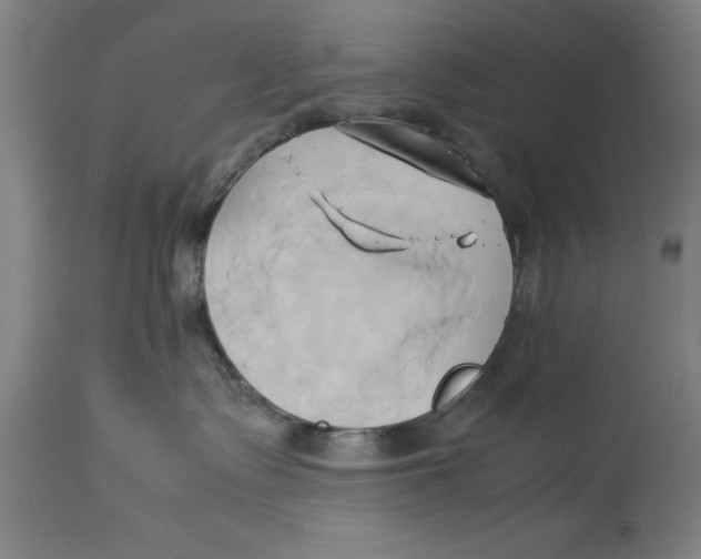 X0000114150335200911051448