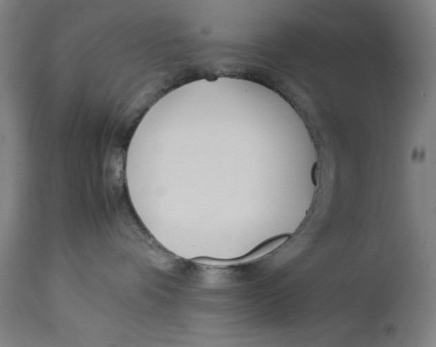 X0000114150336200911051448